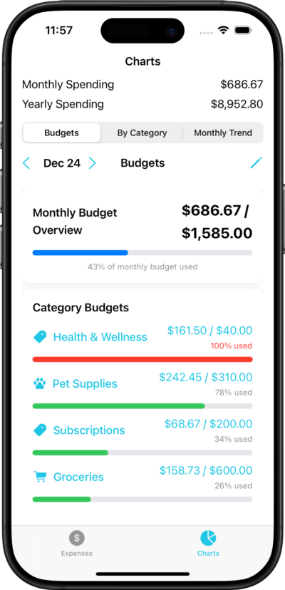 Categorized Expenses